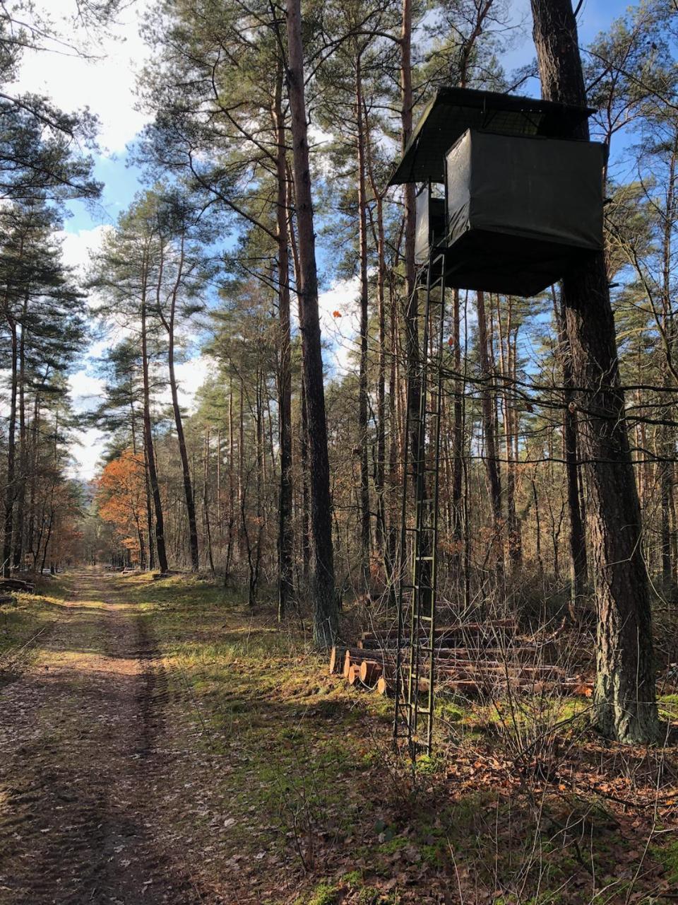 Vakantiechalet Voor 4 Plus 2 Met Sauna ランアーケン エクステリア 写真